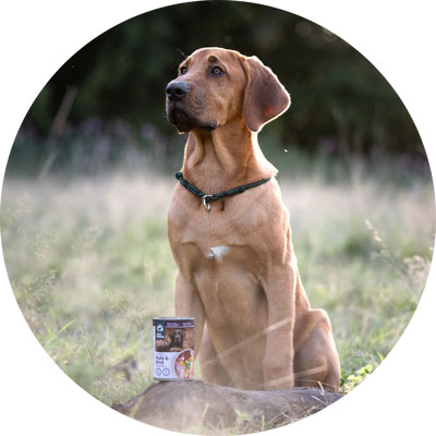 Un chien assis dans un pré avec une boîte de Pure Nature devant lui.